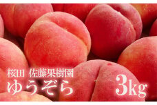 No.1203福島の桃　「ゆうぞら」約3kg【2025年発送　先行予約】