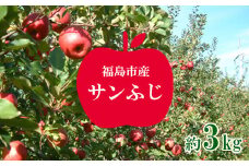 No.1224 りんご「サンふじ」約3kg【2025年発送】