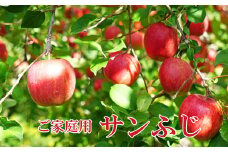 No.1222 りんご「サンふじ」【ご家庭用】約5kg【2025年発送】
