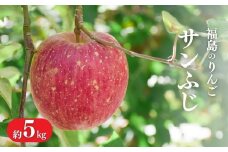 No.1472 りんご「サンふじ」約5kg【2025年度発送】