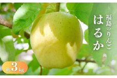 No.1474 りんご「はるか」約3kg【2025年度発送】