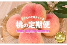 No.2027ふくしまの桃 約5kg 定期便 3回【2025年 先行予約】 