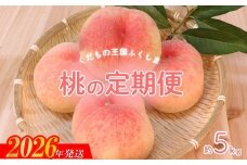 No.2027【2026年発送　先行予約】福島のもも 約5kg 定期便3回
