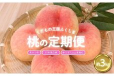 No.2026ふくしまの桃 約3kg 定期便 3回【2025年 先行予約】 
