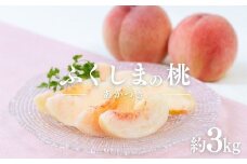 No.2040ふくしまブランド桃　あかつき　約3kg【2025年 先行予約】