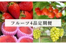 No.1603いちごから始まる果物4品 定期便【2025年発送　先行予約】