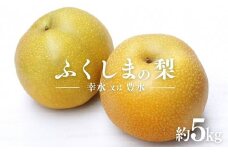 No.2043ふくしまの梨　約５kg（幸水または豊水） 【2025年 先行予約】