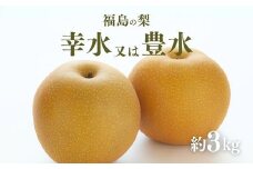 No.2042ふくしまの梨　約３kg（幸水または豊水）【2025年発送　先行予約】