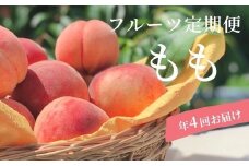 No.1625もも4種定期便 あかつき/川中島白桃/白桃・黄桃セット/さくら白桃 各約3kg 【2025年発送　先行予約】