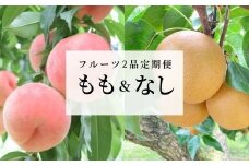 No.1633フルーツ2品定期便 もも・なし各約2kg【2025年発送　先行予約】
