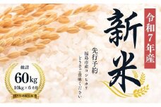 No.1498【令和７年産新米　先行予約】大文字屋米穀店【定期便6回】コシヒカリ 10kg（5kg×2）精米 （6か月連続お届け）