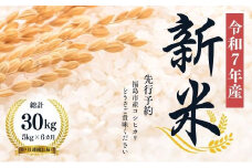 No.1502【令和７年産新米　先行予約】大文字屋米穀店【定期便6回】コシヒカリ 5kg 精米（6か月連続お届け）