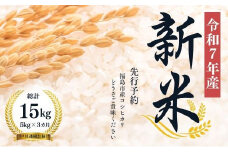 No.1501【令和７年産新米　先行予約】大文字屋米穀店【定期便3回】コシヒカリ 5kg 精米（3か月連続お届け）