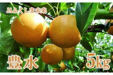 No.1488 なし　特秀「豊水」約5kg【2025年発送】