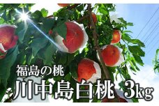 No.1512福島のもも「川中島白桃」約3kg【2025年発送】