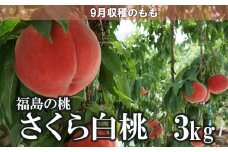 No.1518福島のもも「さくら白桃」約3kg【2025年発送】