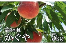 No.1516福島のもも「かぐや」約5kg【2025年発送】