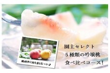 No.1522【限定50セット】★園主セレクト 5種類の吟壌桃 食べ比べコース★【全4回発送】【2025年発送　先行予約】