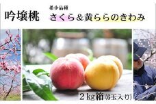 No.1523【限定50箱】吟壌桃「さくら＆黄ららのきわみ」約2kg【2025年発送】