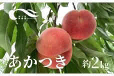 No.1586もも（あかつき）約2kg【2025年発送　先行予約】