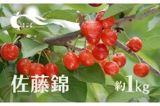 No.1592さくらんぼ（佐藤錦1kg)【2025年発送　先行予約】