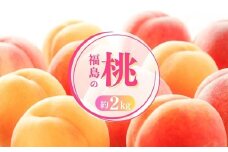 No.1697もも 白桃&黄桃 食べくらべセット 約2kg【2025年発送　先行予約】