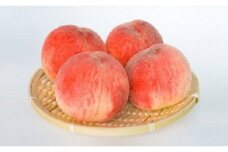No.1618プチ贅沢な食べ切りサイズ 美味しい品種を厳選！ゆうぞら 約1.4kg【2025年発送　先行予約】