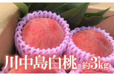 No.1690もも 川中島白桃 約3kg【2025年発送　先行予約】