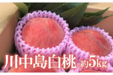 No.1691もも 川中島白桃 約5kg 【2025年発送　先行予約】