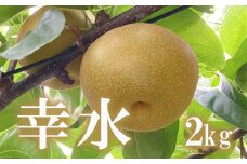 No.1712梨　なし　幸水　約2kg　【2025年発送　先行予約】