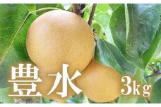 No.1716梨　なし　豊水　約3kg　【2025年発送　先行予約】