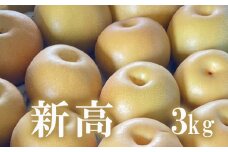 No.1721梨　なし　新高　約3kg 【2025年発送　先行予約】