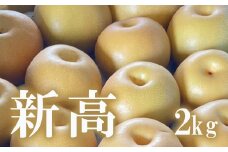 No.1720梨　なし　新高　約2kg　【2025年発送　先行予約】