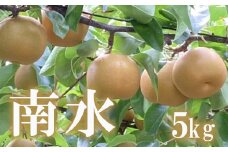 No.1725梨　なし　南水 約5kg【2025年発送】