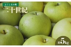 No.1728梨　なし　二十世紀　約5kg　【2025年発送】