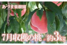 No.1759もも　7月収穫の桃 福島市産 白桃 品種 おまかせ (はつひめ、恋みらい、日川白鳳、暁星、あかつき、夏の陽) 約3kg【2025年発送　先行予約】