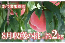 No.1758もも　8月収穫の桃　福島市産 白桃 品種 おまかせ (奥あかつき、まどか、川中島白桃、ゆうぞら)約2kg【2025年発送　先行予約】