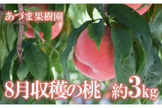 No.1760もも　8月収穫の桃 福島市産 白桃 品種 おまかせ (奥あかつき、まどか、川中島白桃、ゆうぞら) 約3kg【2025年発送　先行予約】
