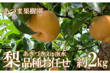 No.1764梨　品種おまかせ　(あきづき又は南水)約2kg【2025年発送　先行予約】
