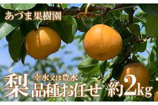 No.1763梨　品種おまかせ　(幸水又は豊水)約2kg【2025年発送　先行予約】