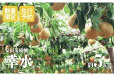 No.1797梨　幸水　約5kg【2025年発送　先行予約】