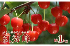 No.1803さくらんぼ(紅秀峰)約1kg【2025年発送　先行予約】