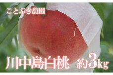 No.1819もも「川中島白桃」約3kg【2025年発送　先行予約】