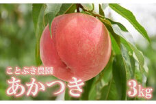 No.1818もも「あかつき」約3kg【2025年発送　先行予約】
