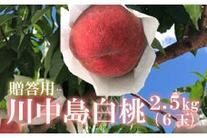 No.1880もも　川中島白桃2.5kg (6玉)【2025年発送　先行予約】
