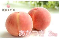 No.1975 もも「あかつき」約3kg【2025年発送】