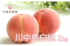No.1978 もも「川中島白桃」約2kg【2025年発送】