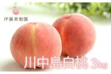 No.1979 もも「川中島白桃」約3kg【2025年発送】
