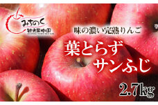 No.1924 ふくしまの葉取らずサンふじ　贈答用　約2.7kg【2025年度発送】
