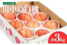 No.2153福島のもも　川中島白桃　約3kg【2025年発送】